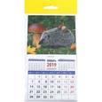 :  - Календарь 2019 "Ежик с грибом" (20919)