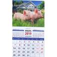 :  - Календарь 2019 "Год поросенка. На даче"