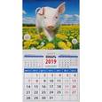 :  - Календарь магнитный «Год поросенка. На просторе» на 2019 год