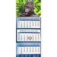 :  - Календарь квартальный на 2016 год "Год обезьяны. Удивленный малыш гориллы" (14607)