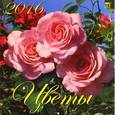 :  - Календарь настенный на 2016 год "Цветы" (70601)