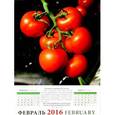 :  - Календарь настенный на 2016 год "Лунный календарь садовода и огородника"