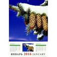 :  - Календарь настенный на 2016 год "Календарь природы" (30610)