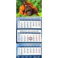 :  - Календарь квартальный на 2016 год "Год обезьяны. Орангутанги - мама с детенышем" (14610)