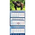 :  - Календарь квартальный на 2016 год "Год обезьяны. Горилла с детенышем" (14605)