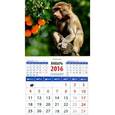:  - Календарь на магните на 2016 год. Год обезьяны. Маленький павиан (20626)