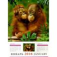 :  - 2016 Календарь 30608 Год обезьяны .Малыши