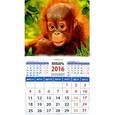 :  - Календарь на магните на 2016 год. Год обезьяны. Малыш орангутанг (20627)