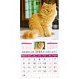 russische bücher:  - Календарь настенный на 2016 год "Наши любимцы"
