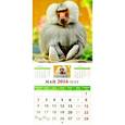 russische bücher:  - Календарь настенный на 2016 год "Год обезьяны"