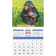 :  - Календарь магнитный 2016. Год обезьяны. Малыш шимпанзе (20630)