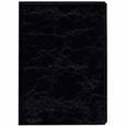 :  - Ежедневник (черный, недатированный, А5) (CLASSIC)
