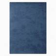 :  - Ежедневник недатированный "Аскот" (145х205 мм, синий)