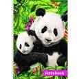 :  - Записная книжка "Милые панды", 810 листов