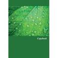 :  - Тетрадь "Капли на листе", А4, 96 листов, клетка