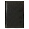 :  - Ежедневник на 2017 год. Датированный, со справочными материалами. Иск. кожа. Черный