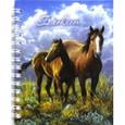 :  - Блокнот "Лошади", А6, 120 листов