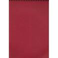 :  - Бизнес-блокнот 50л А4 бордо (11с11-4)