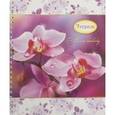 :  - Тетрадь "Орхидеи"