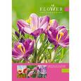 :  - Еженедельник "Крокусы", А5, 48 листов