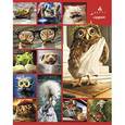 :  - Тетрадь общая "Стоп-кадр. Выпуск №2" (48 листов, А5, клетка, в ассортимент) (48Т5В1)