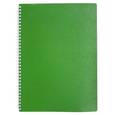 :  - Тетрадь 80л А4ф Пластиковая обложка на гребне WOOD Зеленая