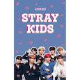 Блокнот Stray Kids (формат А5, мягкая обложка с фото)