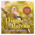 : Ксения Платонова - Птицы России. Родная природа. Календарь настенный на 2026 год