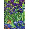 :  - Скетчбук "Ван Гог. Ирисы"