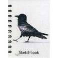 :  - Ворона. Скетчбук
