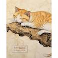:  - Тетрадь для иероглифов (рыжий котик)