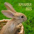 :  - Календарь настенный перекидной на 2023 год Символ года 1