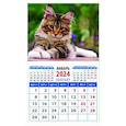 :  - Календарь на 2024 год. Котенок Мейн-кун