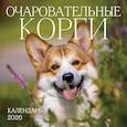 :  - Очаровательные корги. Календарь настенный на 2026 год