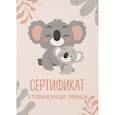:  - Сертификат о профилактических прививках (форма № 156/у-93). Милая коала с мамой