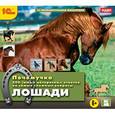 :  - CDpc Почемучка. Лошади