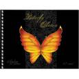 :  - Альбом для рисования "Бабочки (Butterfly collection)"