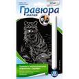 :  - Гравюра малая с эффектом серебра "Енот"