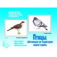 :  - Игра "Птицы нашей страны". Д-292