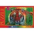 :  - "В мире животных. Притаившийся тигр" Пзлы 160 элементов