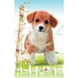 :  - В мире животных" Щенок" Пазлы 15 элементов