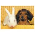 :  - В мире животных. Щенок и кролик в корзинке. 500 элементов