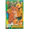 :  - Пазл. В мире животных. Рыжий котенок с розами. 80 элементов
