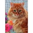 :  - Пазл. В мире животных. Рыжий кот. 250 элементов