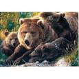 :  - В мире животных. Медведица с медвежатами. Пазлы. 513 элементов