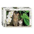 :  - "Котята  и орхидея". 1500 элементов