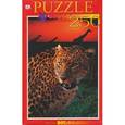 :  - Пазл. В мире животных. Леопард в джунглях. 250 элементов