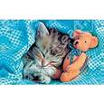 :  - Пазлы "В мире животных. Котенок с игрушкой"