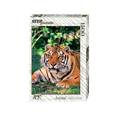 :  - Пазл 1500 элементов. "Тигр"