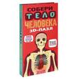 : Ричард Уолкер - Собери тело человека. 3D-пазл